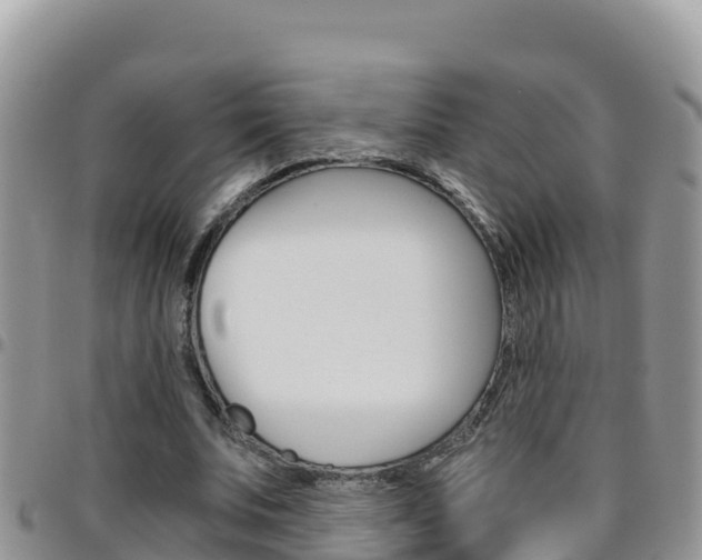 X0000096200679200801181032