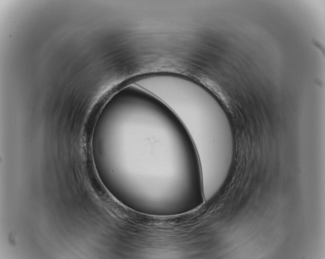 X0000096200680200801181032