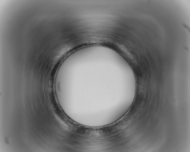 X0000096200683200801181032