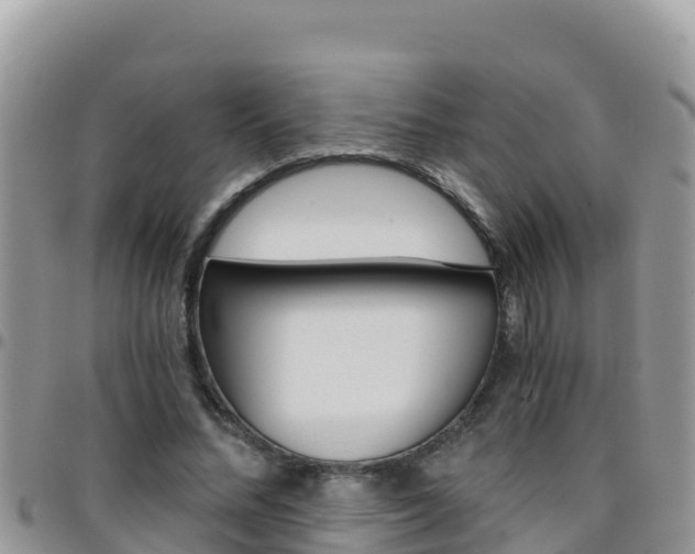 X0000096200684200801181031