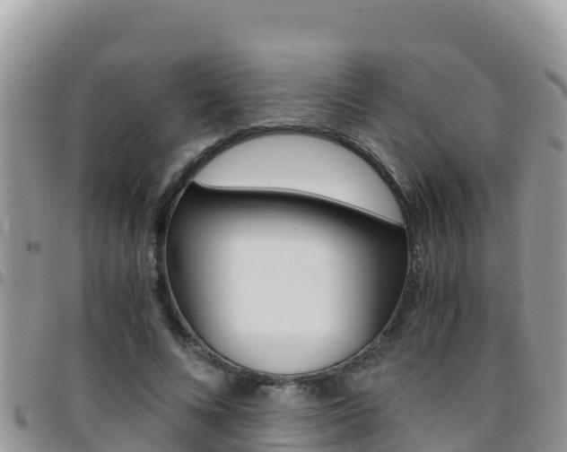 X0000096200688200801181031