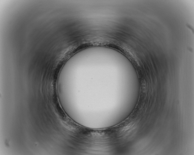 X0000096200690200801181031