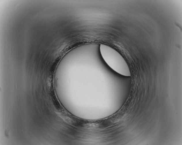 X0000096200691200801181031