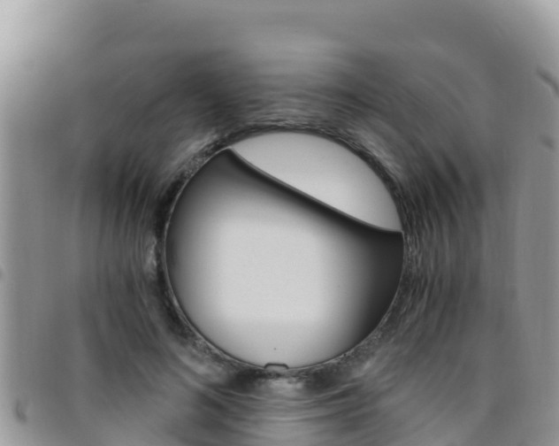 X0000096200692200801181031