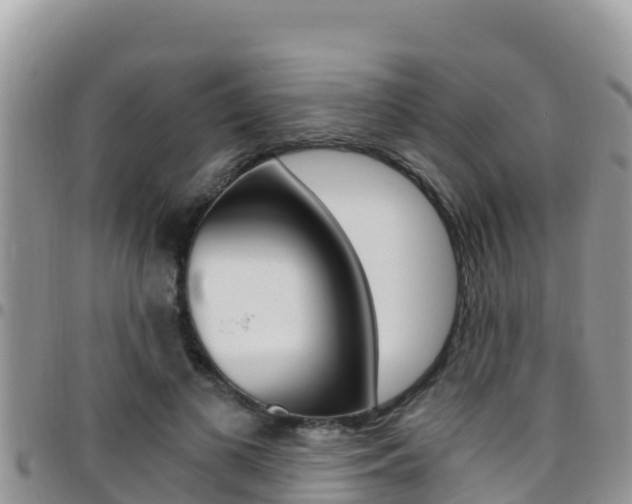 X0000096200693200801181031