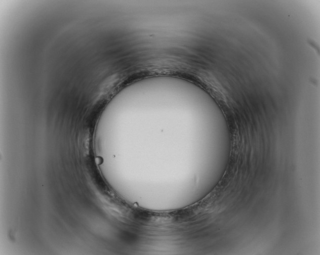 X0000096200694200801181031
