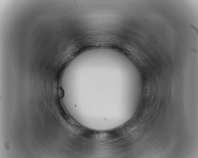 X0000096200695200801181031