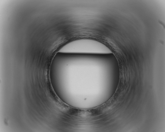X0000096200696200801181031