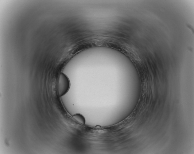 X0000096200698200801181031