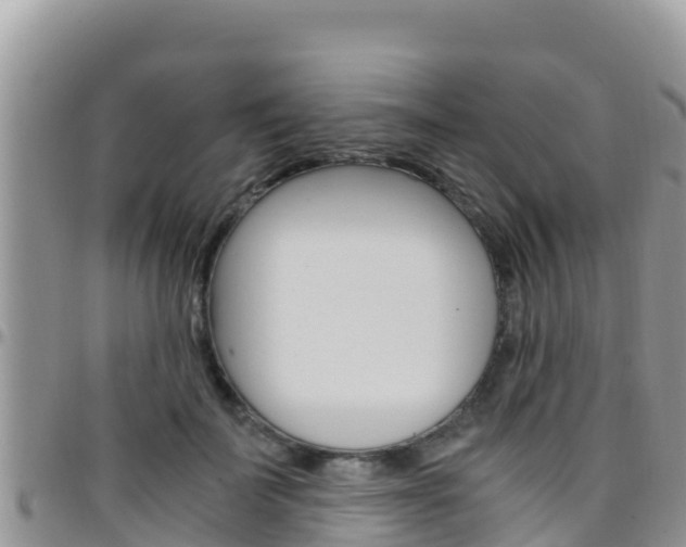 X0000096200699200801181031