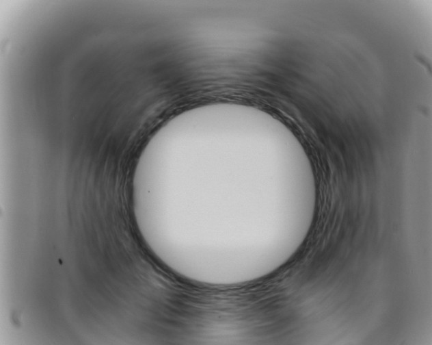 X0000096200701200801181031