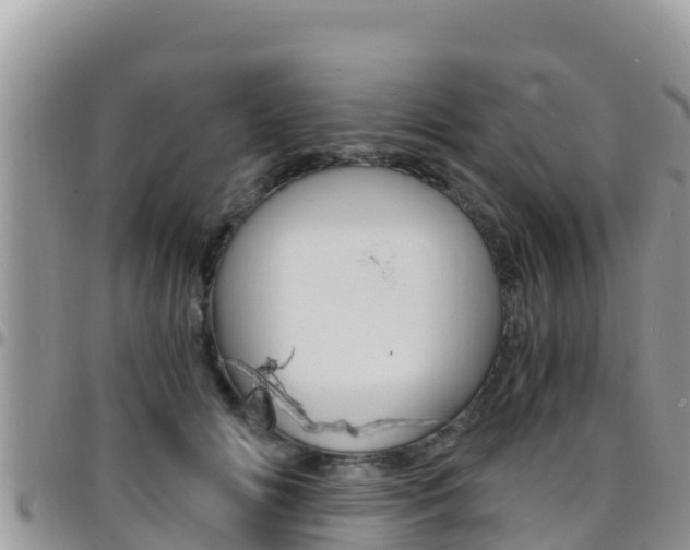 X0000096200702200801181031