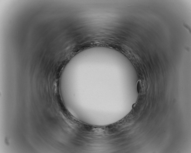 X0000096200703200801181031