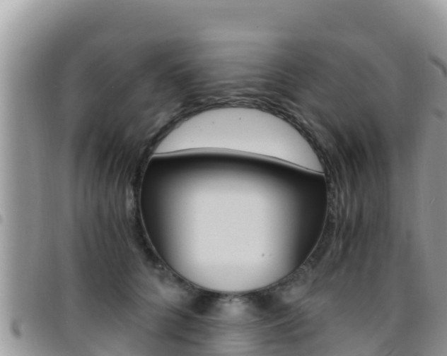 X0000096200704200801181031