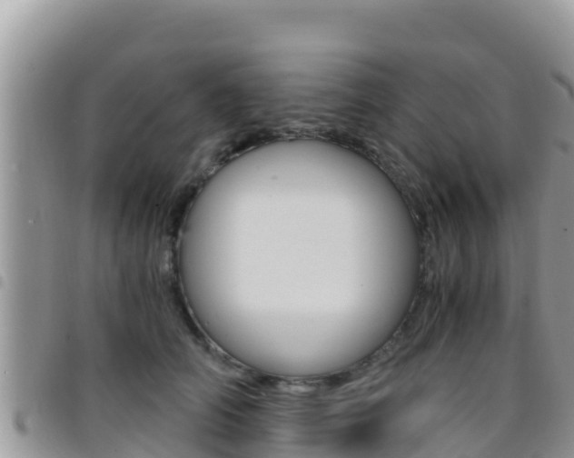 X0000096200706200801181031