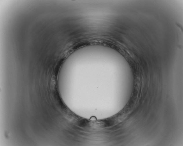 X0000096200707200801181031