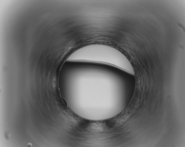 X0000096200708200801181031