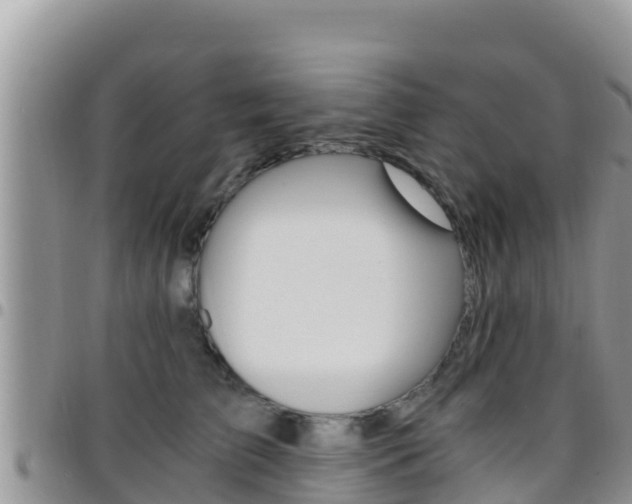 X0000096200709200801181031