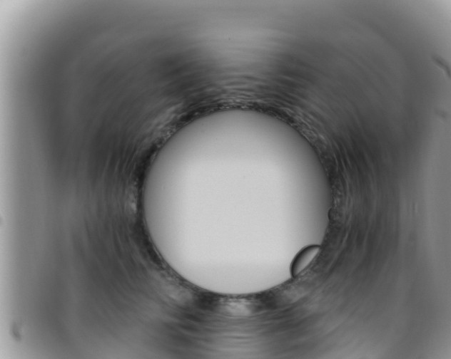X0000096200710200801181031