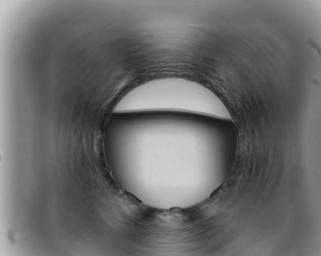 X0000096200712200801181031