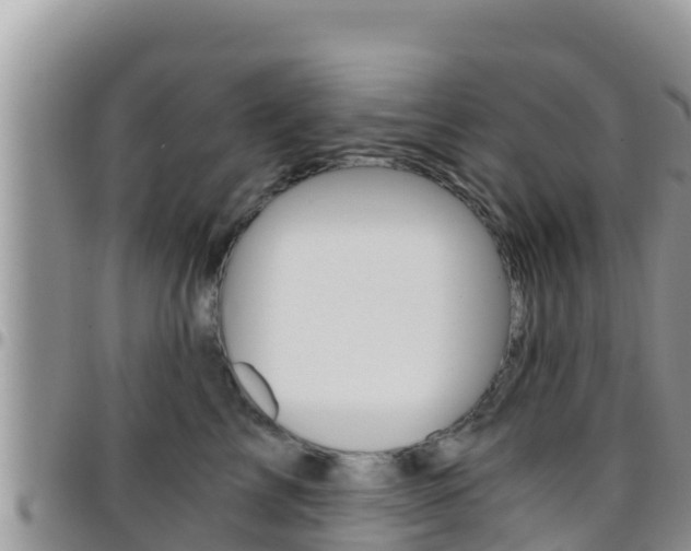 X0000096200713200801181031