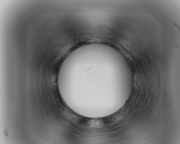 X0000096200714200801181031