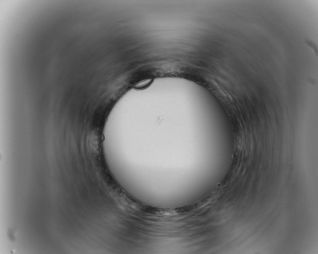 X0000096200715200801181031