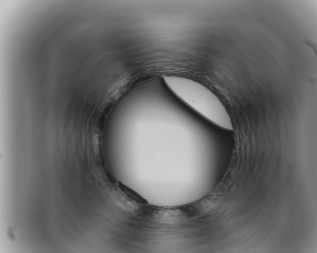 X0000096200716200801181031