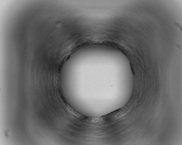 X0000096200720200801181031
