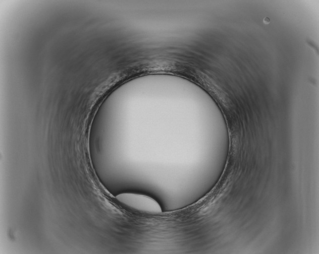 X0000096200721200801181030