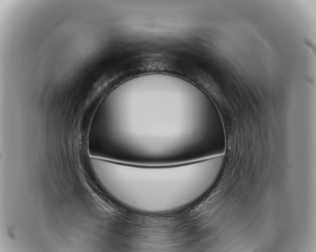 X0000096200722200801181030
