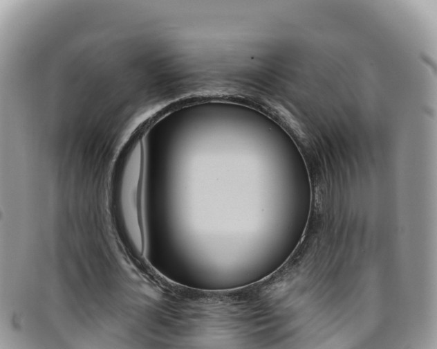 X0000096200724200801181030