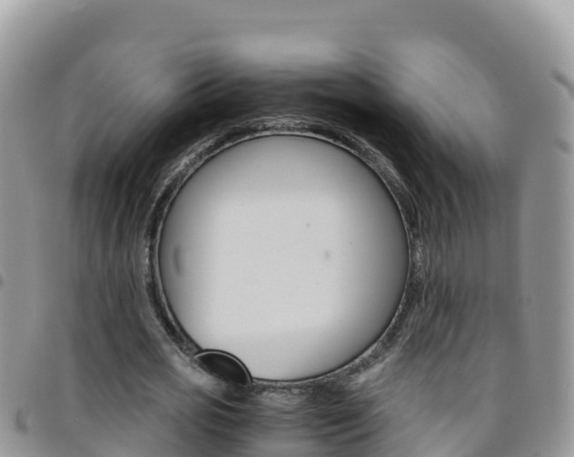 X0000096200725200801181030