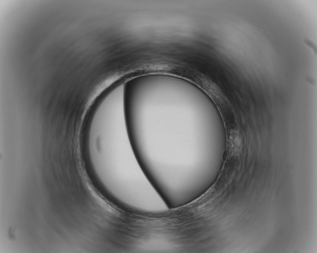 X0000096200726200801181030