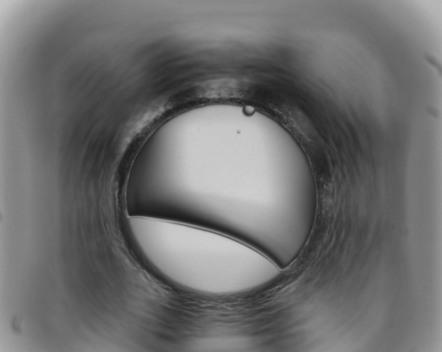 X0000096200727200801181030