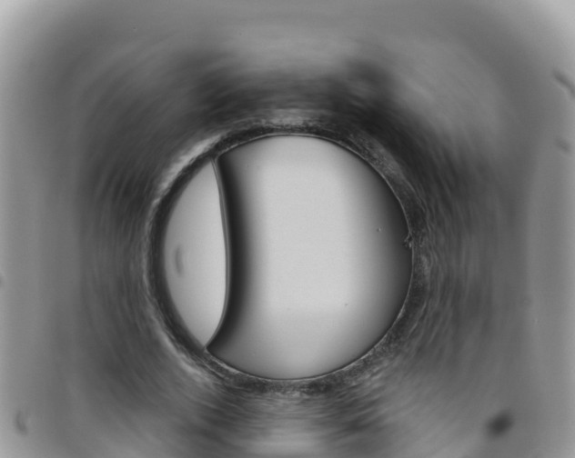 X0000096200728200801181030