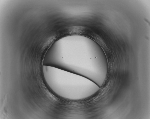 X0000096200729200801181030
