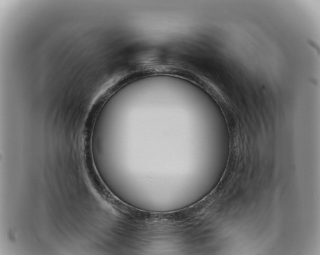 X0000096200730200801181030