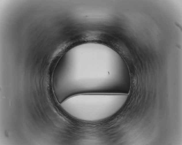 X0000096200732200801181031