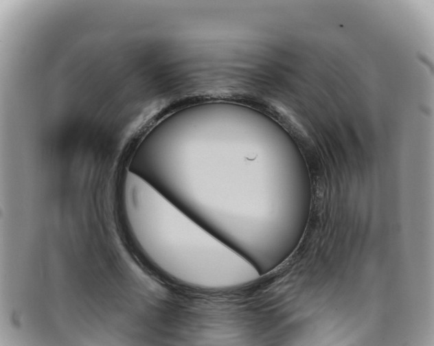 X0000096200734200801181031