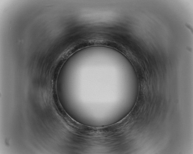X0000096200735200801181031