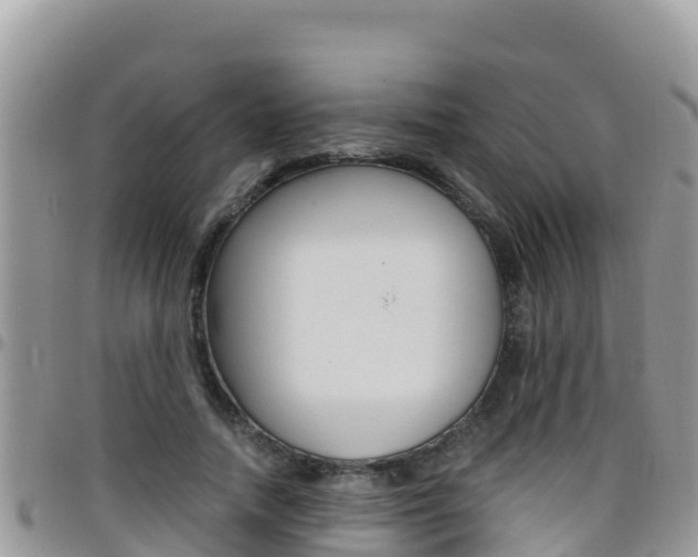 X0000096200738200801181031