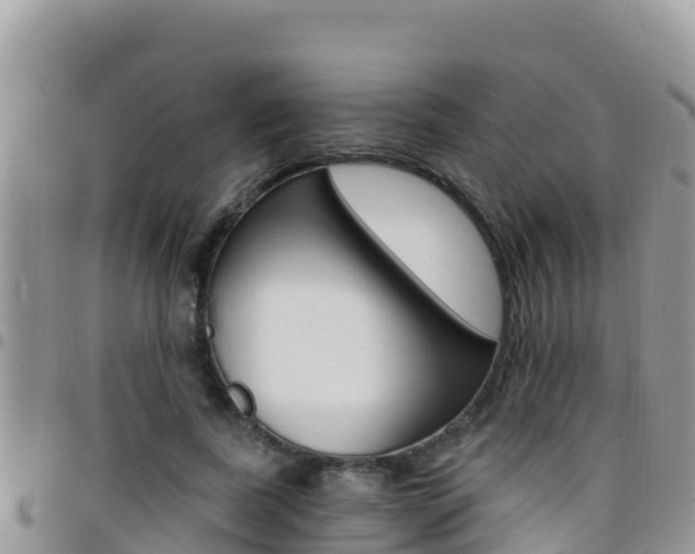 X0000096200739200801181031