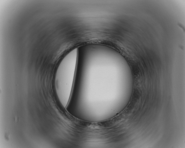 X0000096200742200801181031