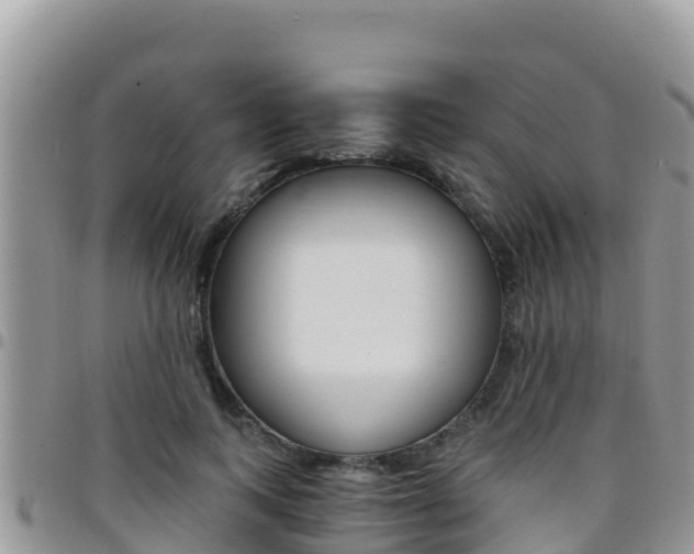 X0000096200743200801181031