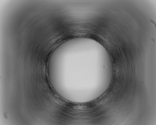 X0000096200745200801181031