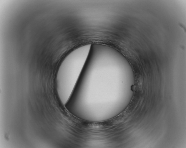 X0000096200746200801181031