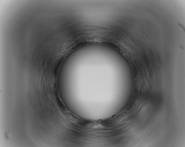 X0000096200747200801181031