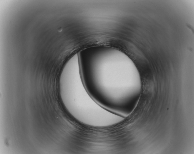 X0000096200748200801181031