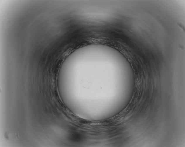 X0000096200749200801181031